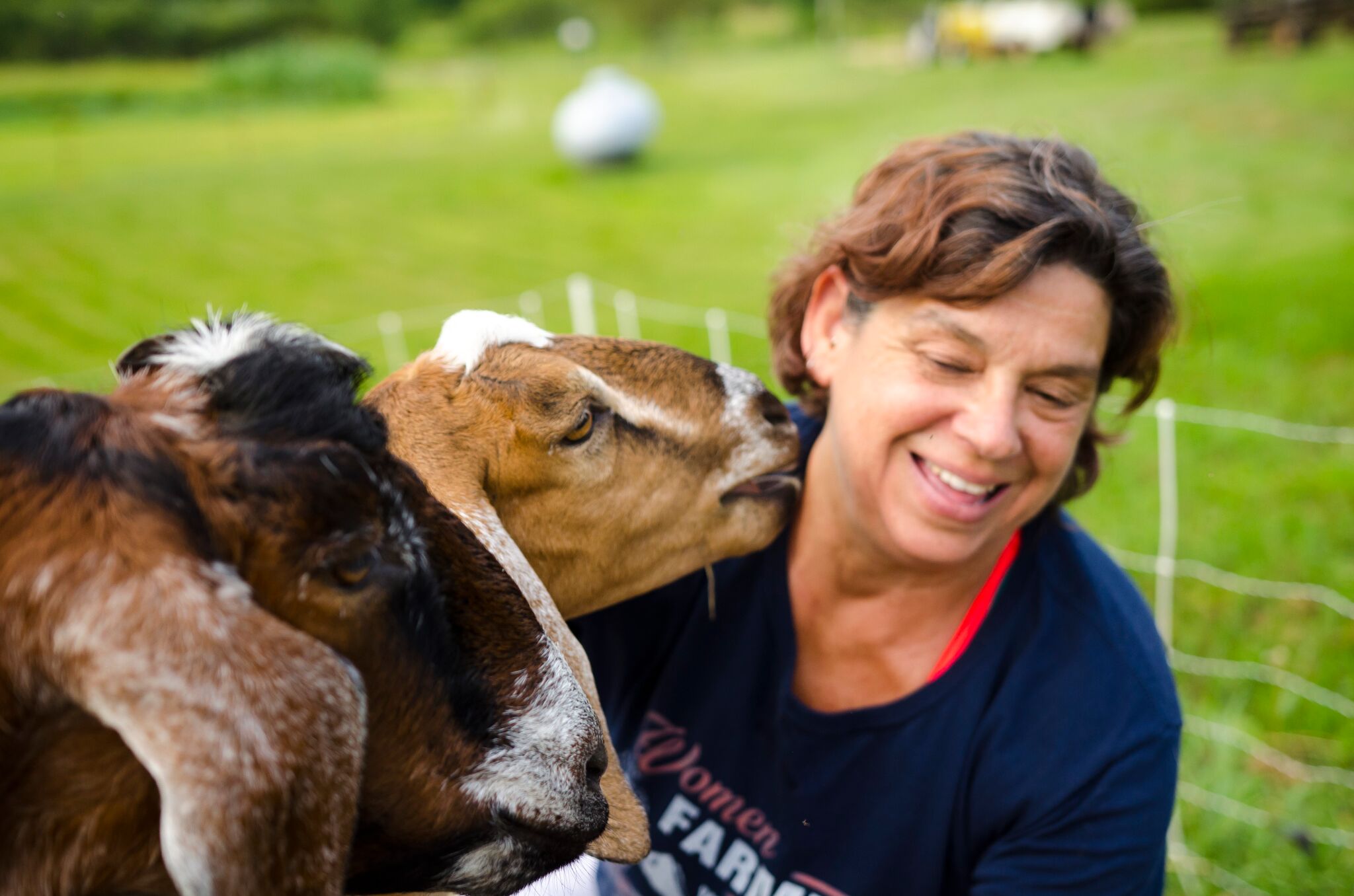 Gettingakiss Bifrost Farms