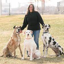 three dogs in a field